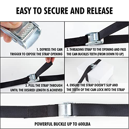 1 in x 12 ft Lashing Straps (12 PK / Black)