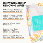 Makeup Remover Face Wipes (10 Count (Pack of 1))