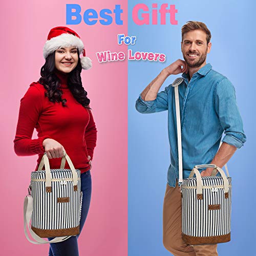 6 Bottle Wine Cooler Bag (Blue Stripe)