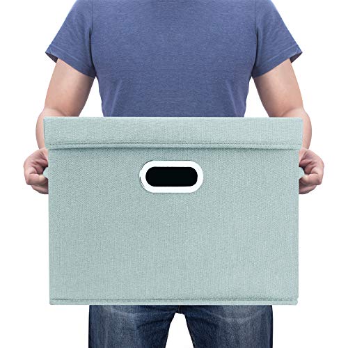 Large Storage Bins with Lids (3-Pack Large / Auqa Spring)