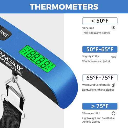 Digital Luggage Scale (Blue)