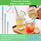 Reusable Collapsible Metal Straws (Blue-Black-Rose Gold-Silver)