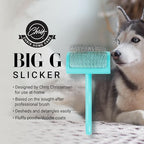 Big G Dog Slicker Brush for Dogs (Medium / Teal)