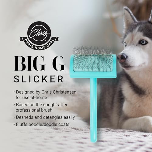 Big G Dog Slicker Brush for Dogs (Medium / Teal)