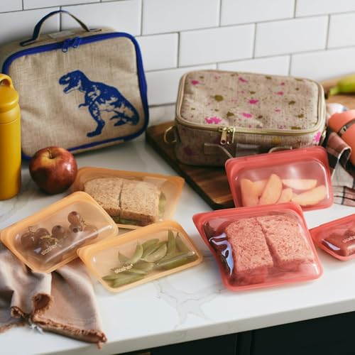 Premium Reusable Silicone Food Storage Bags (Rainbow / 6-Pack)