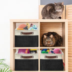 15" x 11" Large Fabric Storage Bin (Black / Large - 15" x 11" x 9.5")
