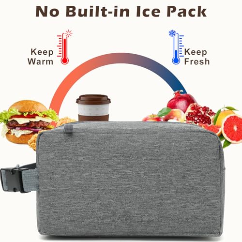 Small Insulated Lunch box Portable Soft Bag Mini Cooler Thermal Meal Tote Kit with Buckle for Work (GreyWithBuckle)
