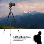 B690A Camera Tripod for Travel (B690A Aluminumn Tripod)