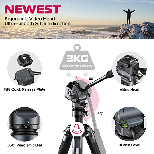F38 Carbon Fiber Video Travel Tripod