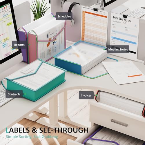 Plastic Expanding File Folder (Wjd-5pcs-clear-c2 / Letter/A4)