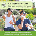 Deodorizing Body Wipes Individual Shower Wipes (600 Count (Pack of 1))