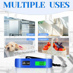 Luggage Scale (Blue)