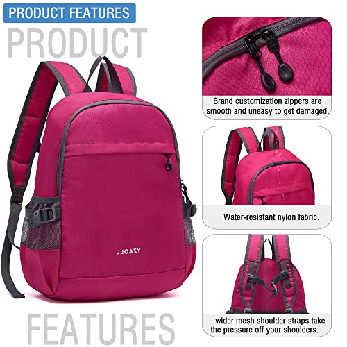 Hiking Backpack 20L Packable Packable Lightweight Day Pack for Women & Men (A-20l-arose)