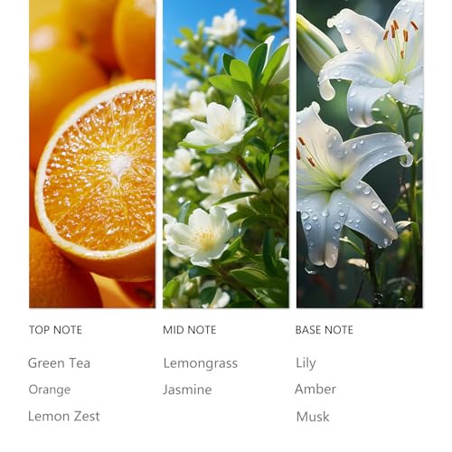 Waterless Essential Oil La Lover for Diffuser 120ml (4.1 Fl Oz (Pack of 1))