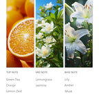Waterless Essential Oil La Lover for Diffuser 120ml (4.1 Fl Oz (Pack of 1))