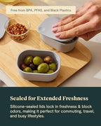 2 Piece Mini Dash Inserts with Lids (Gray / Mini Dash Insert)