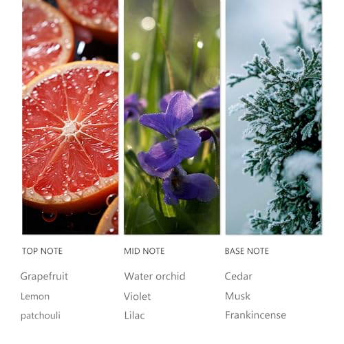 Waterless Diffuser Clove Cedar Aromatherapy Oils Home (4.1 Fl Oz (Pack of 1))