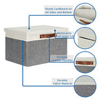 Collapsible Storage Bins Storage Boxes with lid (15×11×9.5 / White&Grey)