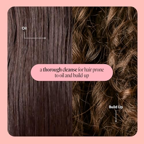 Clarify Shampoo and Conditioner Set 12 oz for Oily Hair Made with Grapefruit Extract