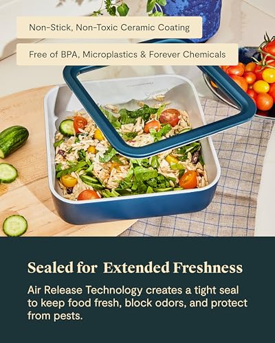 Glass Food Storage Container with Lid (Perracotta / 10 Cup Container (1x))