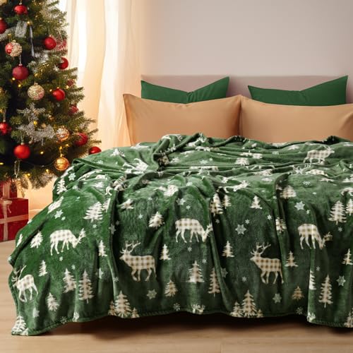 Christmas Fleece Blanket Queen (Northern Winter / Queen(90" X 90"))