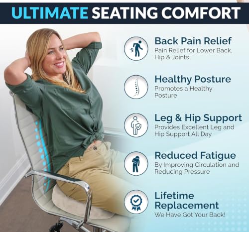 Doctor Recommended Seat Cushion (Beige / Large)