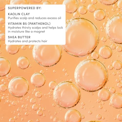 Kids After Swim & Sports Shampoo (After Swim & Sports Clay Shampoo / 5 Fl Oz (Pack of 1))