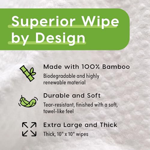 Deodorizing Body Wipes Individual Shower Wipes (600 Count (Pack of 1))