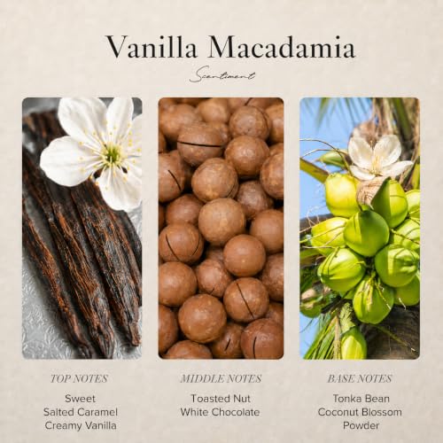 Vanilla Macadamia Diffuser Oil (4.06 Fl Oz (Pack of 1))