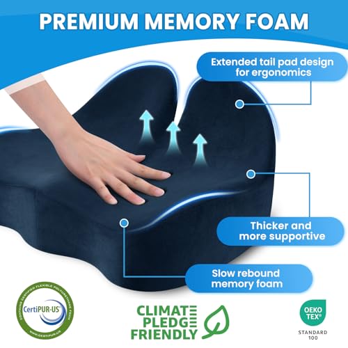 Extra Large Seat Cushion (Blue / X-Large)