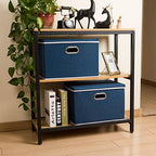Large Collapsible Storage Bins with Lids [3 (Royal Blue / L(3-Pack))
