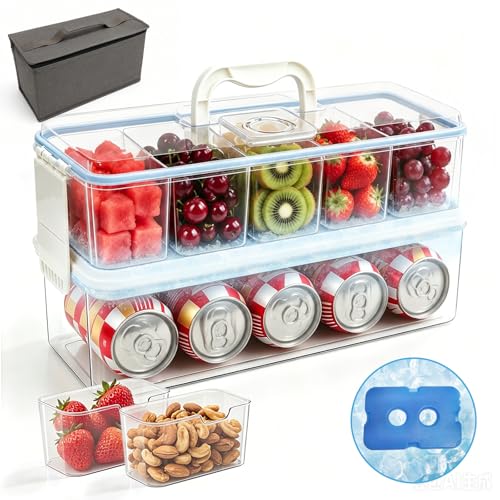Snackle Box Container with 2 Ice Packs