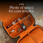 Luxury Watch Travel Case for Men (Black & Orange)