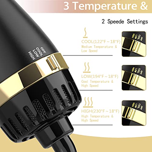 Hair Dryer Brush (Black Gold)