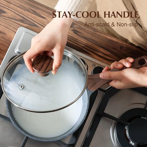 2.0 Quarts Nonstick Saucepan with Lid (Gray Granite / 2 Quarts)