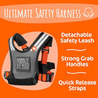Autism Safety Harness with leash for Kids 2 (Original (Orange))