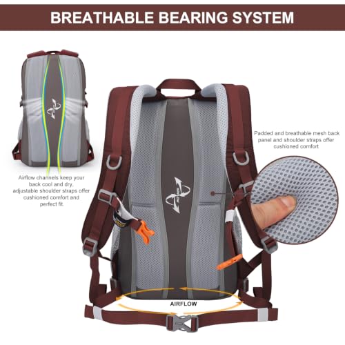 20L Hiking Backpack (Maroon-20l / 20L)