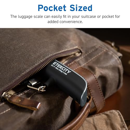 Luggage Scale (Charcoal Gray)