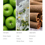 Essential Scent Oil Cinnamon pples 20ML Sampler (0.68 Fl Oz (Pack of 1))