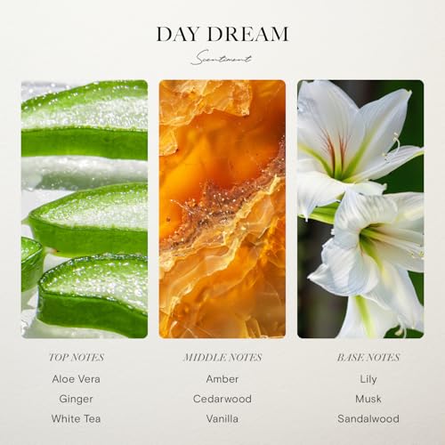 Day Dream Hotel Diffuser Oil (0.68 Fl Oz (Pack of 1))