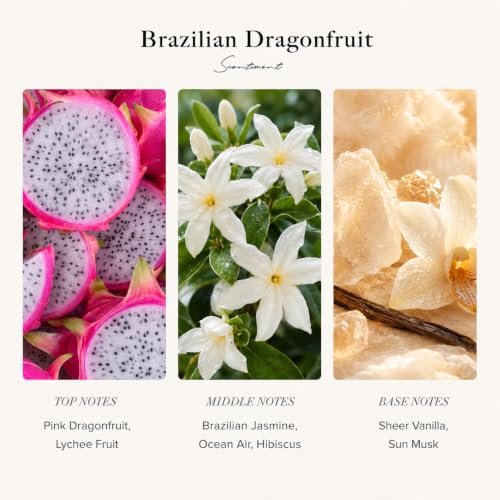 Brazilian Dragon Fruit Hotel Diffuser Oil (500 ml)