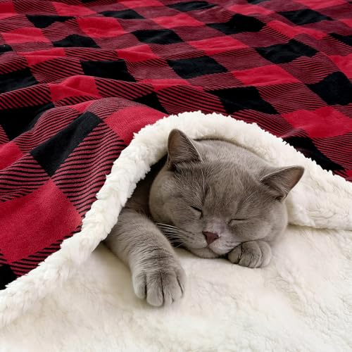Sherpa Fleece Throw Blanket 80" x 90" Reversible Plush Fluffy Large Big Blanket Lattice Flannel Blankets for All Season Use (Red and Black / 80"*90")