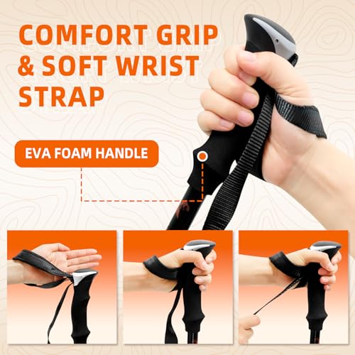 Collapsible Trekking Poles for Hiking (Black)