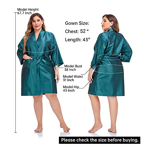 Salon Client Gown Robes Cape (Blue)
