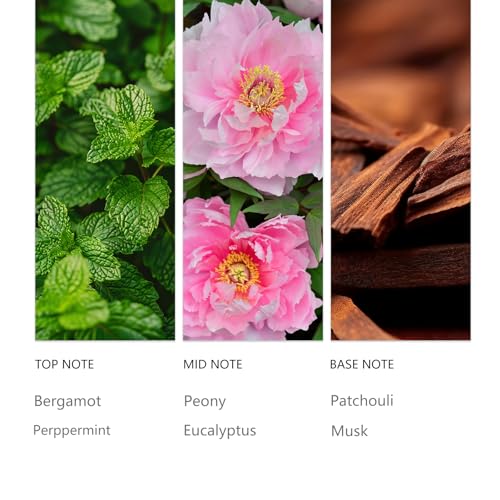 Waterless Essential Oil 20ml Eucalyptus Hotel Scent (0.68 Fl Oz (Pack of 1))
