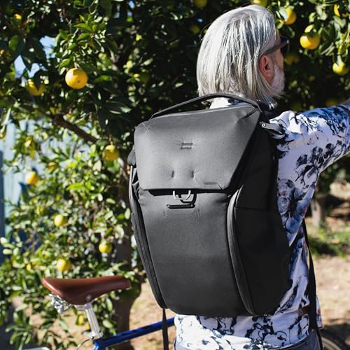 Everyday Backpack 30L (30L / Black)