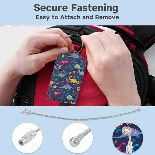Set of 2 Luggage Tags for Suitcases (Cute Cartoon Dinosaur)