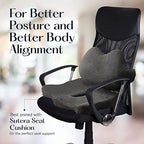 Lumbar Support Pillow (Lumbar Support Pillow)