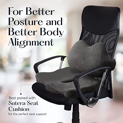 Lumbar Support Pillow (Lumbar Support Pillow)