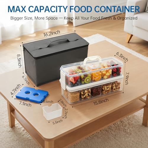 Snackle Box Container with 2 Ice Packs
